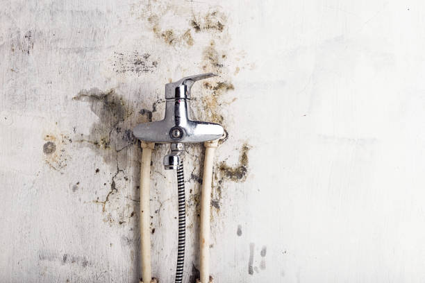 Water Damage Restoration in Linden, TX