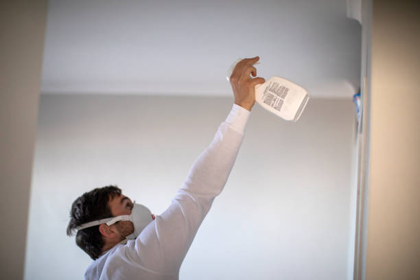 Best Mold Removal Specialists  in Linden, TX