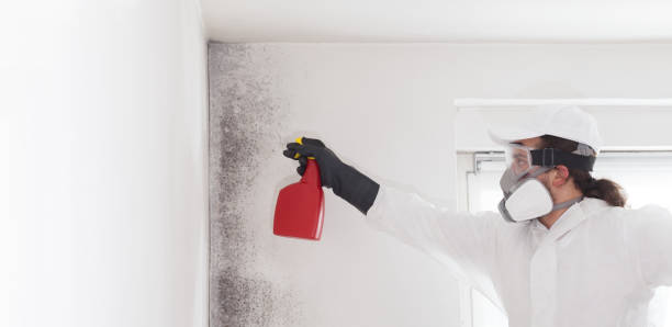 Best Mold Remediation  in Linden, TX