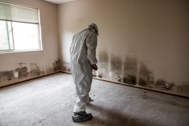 Best Residential Mold Removal  in Linden, TX