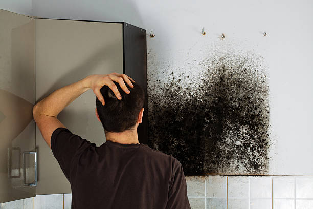 Best Local Mold Removal Service  in Linden, TX